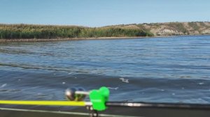 КОРОНАВИРУС 4. МЫ СНОВА НА ДОНУ.