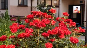 ЖК Легенда, Дивноморское, Геленджик