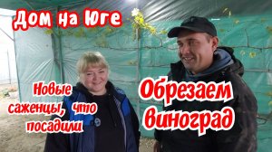 Дом на Юге.  Обрезаем виноград. Новые саженцы у ребят в огороде.