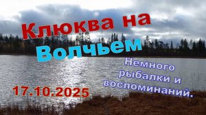Озере Волчье, 17.10.2025. Клюква, рыбалка и воспоминания....