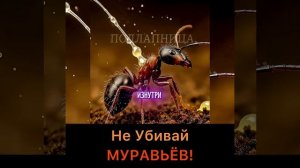 Не убивай муравьёв, ОНИ ВСЁ ПОНИМАЮТ!
