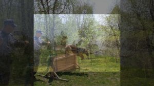 Эстафета добрых дел