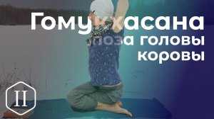 Гомукхасана / поза коровьева лица (головы коровы)  *2 (Техника выполнения асан йоги)