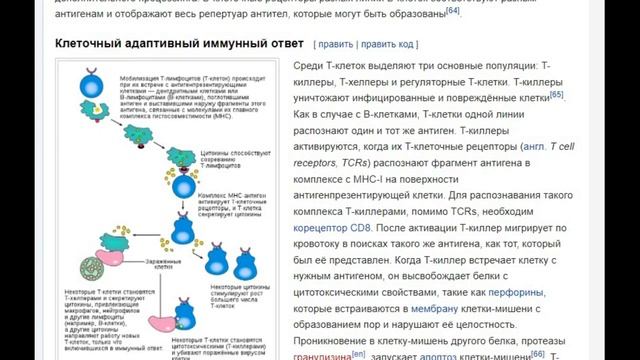 Гаряев-Матрицы.РФ__Главный секрет здоровья. Иммунная система смотреть онлайн