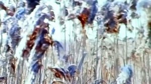 1986 год. Тюмень. Начало ноября