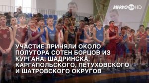 В Кургане прошли Областные соревнования по спортивной борьбе (2025-11-11)