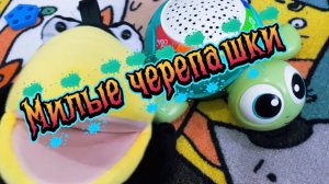 Милые черепашки 🐢🐢🐢