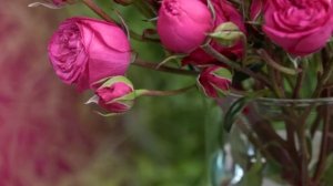 ЧТО ТОРМОЗИТ ПРОДВИЖЕНИЮ?/ТАРО ПРОГНОЗ/НАДЁЖНОЕ ТАРО