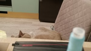 Вязаное полотно сшиваю машинным стежком и вручную_Эксперименты на практике