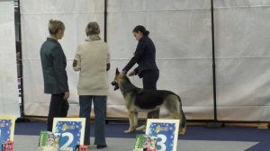 Хейлана из Новой Империи