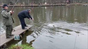 Сегодня неплохо работают закидушки. Клёвое место, Лосиный остров, верхний водоём.