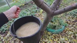 В ноябре провожу обработку сада этим средством! Все яблочки, слива, вишня, смородина  - чистые!