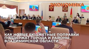 Как новые бюджетные поправки поддержат города и районы Владимирской области