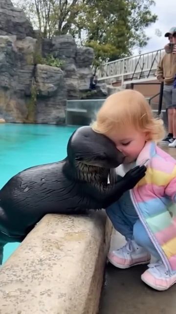 Ничего милее вы сегодня не увидите