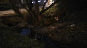 11.11.2025.17:20 Усадьба Парк Кино Ляхово. Парк Сибирских Кошек.Визитная карточка. Домодедово.Москов