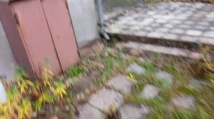 приключения с тротуарной плиткой,начало