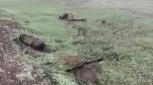 🔴Чудесное спасение! Думали, что наш воин 200, оказалось – 300.🙏❤️🙏🔴