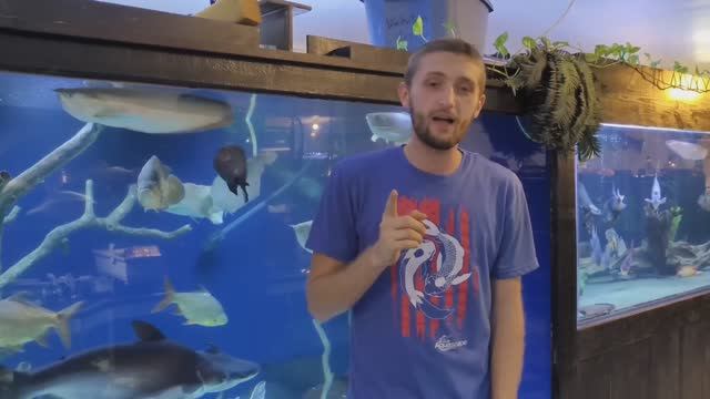 США,Огайо: ТОП-5🐟 Monster Fish