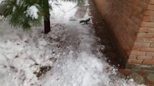 капризы природы