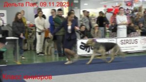 Класс юниоров