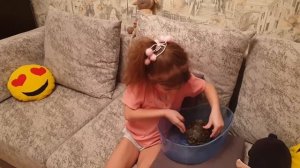 Немного о себе