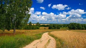 С чего начинается Родина (перепевка,кавер-версия) Советские песни - кинофильм "Щит и меч"