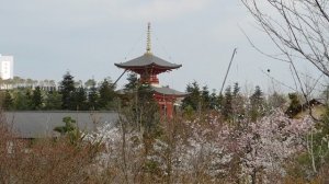 ВИДЕО ПВН  АВ   (18) КРАСНОДАР. ПАРК  ГАЛИЦКОГО.