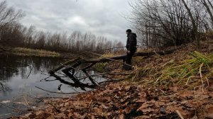 РЫБАЛКА НА ПОПЛАВОЧНУЮ УДОЧКУ 9 НОЯБРЯ