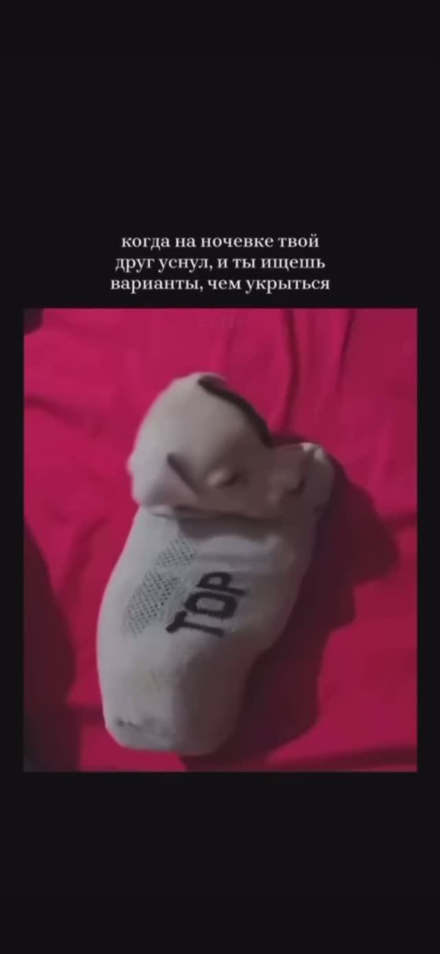 Спокойной ночи