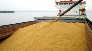 ТВ: В Татарстане специалисты ЦОК АПК впервые проконтролировали партию пшеницы на экспорт во Вьетнам