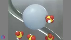 Когнитивная Витаминка № 284