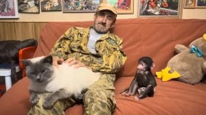 Анфиса-это ходячий антидепрессант, она достала всех и Влада,и Басика