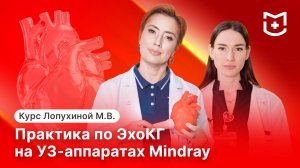 Стажировка в MEDLIGA: как врачи осваивали ЭхоКГ на практике?