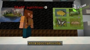 Мир насекомых  | Лекция по биологии в Minecraft  | MindCube Академия