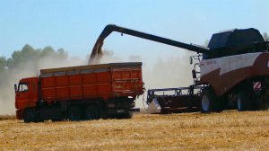 Российское сельское хозяйство адаптировалось к вызовам и показывает высокие результаты