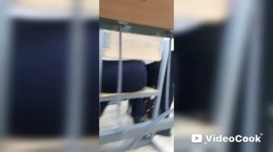 Сумашедствие