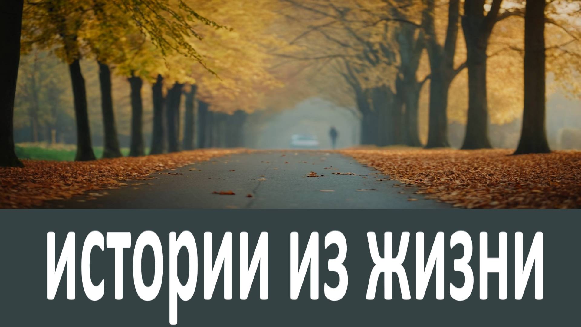 Фаддей Витовницкий. Истории из жизни смотреть онлайн