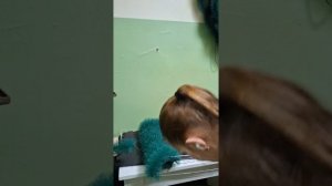 Фон Рамка для фото