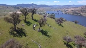 Интересные факты об Австралии.