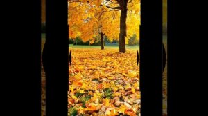 Будите, зовите, ищите