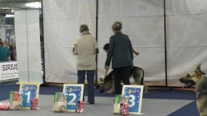 Гордость Питера Мелодия