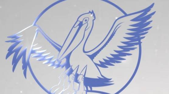 Говорят участники профессиональных конкурсов