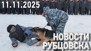 Новости Рубцовска (11.11.2025)