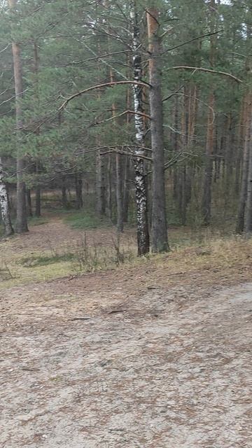 Осень смотреть онлайн