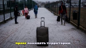 Количество украинских беженцев в ЕС достигло рекордного максимума