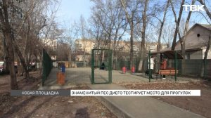 Площадка для выгула и тренировок собак появилась в Свердловском районе