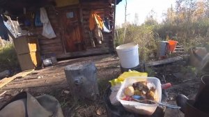 НАШЛИ ИЗБУШКУ В ЛЕСУ,ПО КЛЮКВУ С ДРУГОМ ЧЕРТ ЗНАЕТ КУДА.