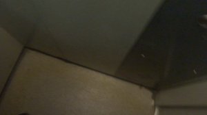 Пассажирский лифт (Деревня Чёрное), V=1 м-с, г-п 400 кг (4)