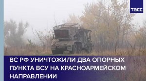 ВС РФ уничтожили два опорных пункта ВСУ на красноармейском направлении