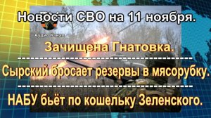 Новости СВО на 11 ноября. ВС РФ заняли Новое и Сладкое